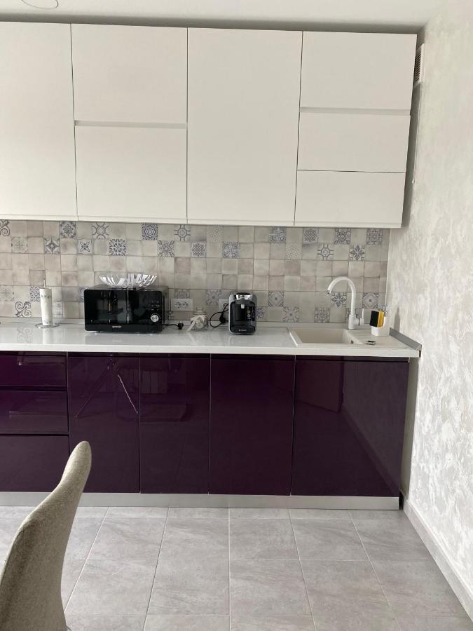 Dina Lux Iasi Apartment Esterno foto
